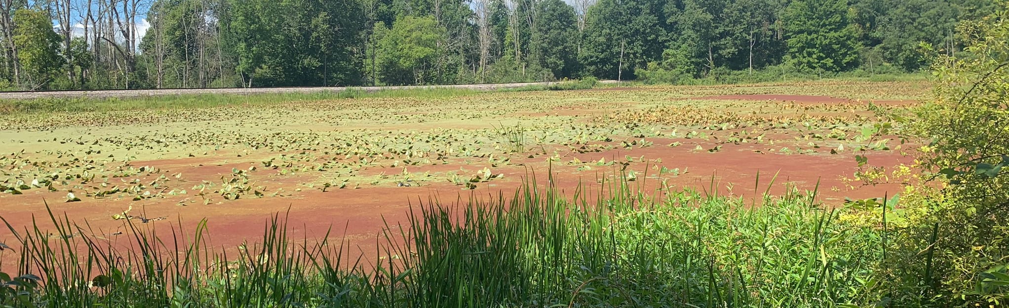 AllTrails Eagle Point Trail 27 Reviews, Map Ohio