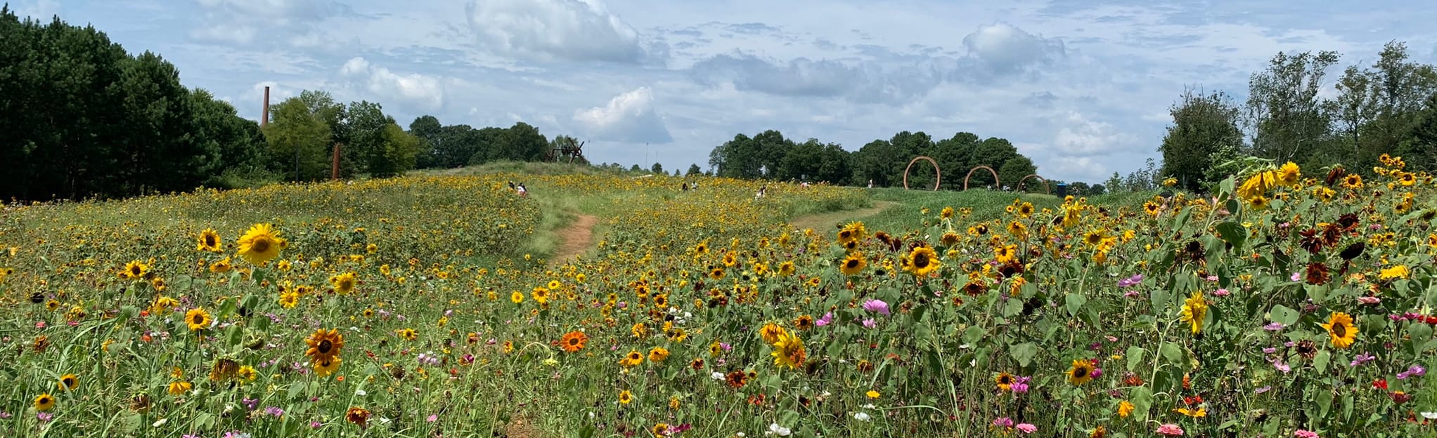 House Creek Greenway Trail, North Carolina 403 Reviews, Map AllTrails
