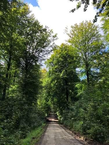 Karlstein - Rosengarten - Oheweg