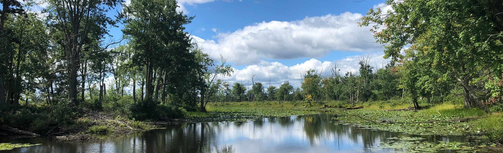 Maquam Creek Trail, Vermont 128 Reviews, Map AllTrails