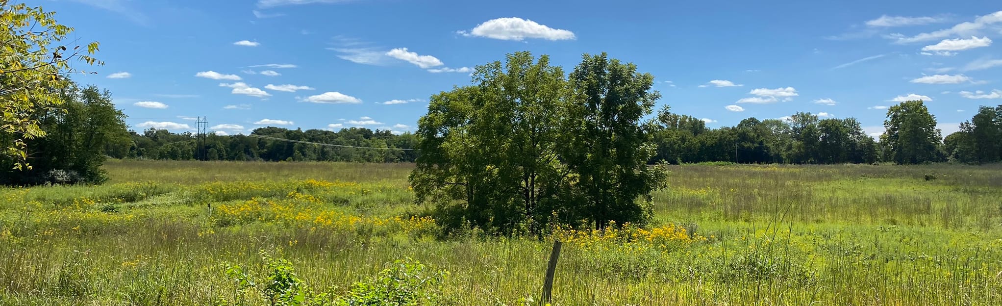 Sugarcreek MetroPark Short Loop 322 Reviews, Map Ohio AllTrails