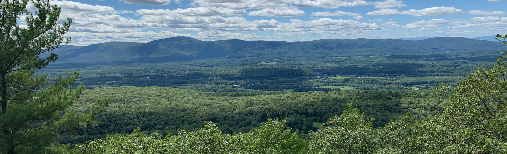 AllTrails East Mountain via Appalachian Trail 156 Reviews, Map