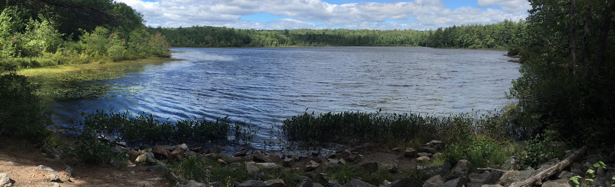 Railroad Trail from Hanson Ridge Road, Maine 103 Reviews, Map AllTrails