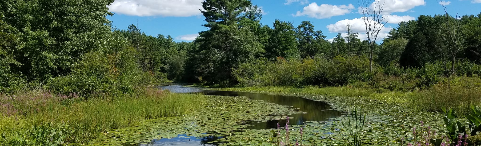 Great Brook Farm Woodchuck, Chicken, and Beaver Loop Trail 1 430