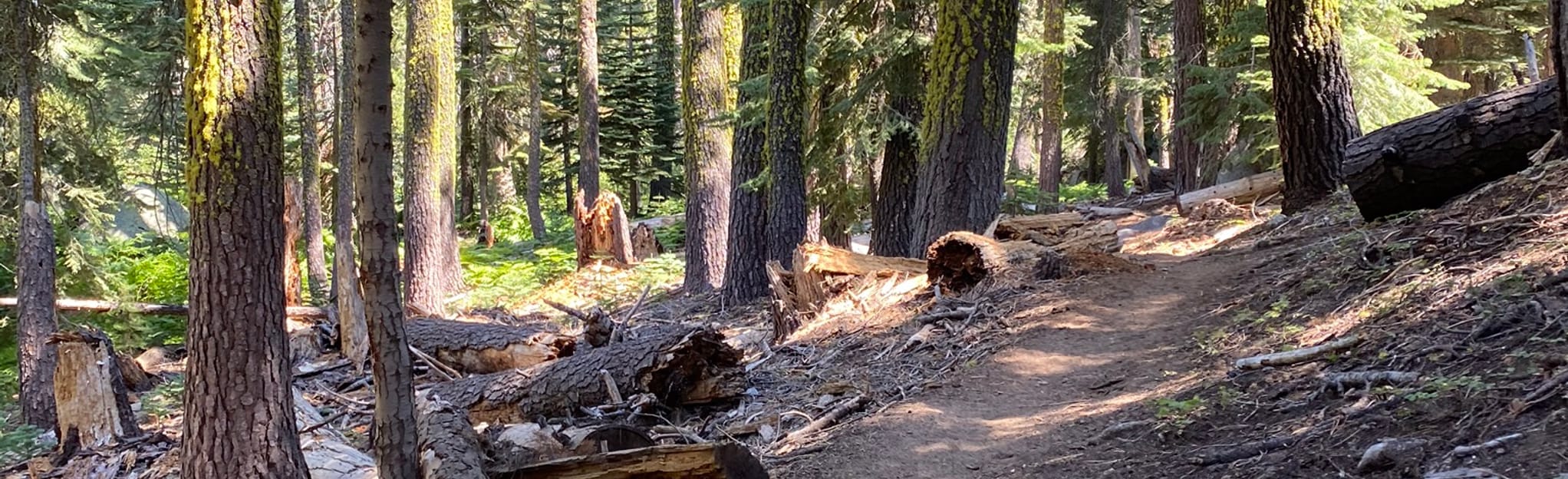 loon Lake Trail and Brown Mountain Trail, California 20 Reviews, Map