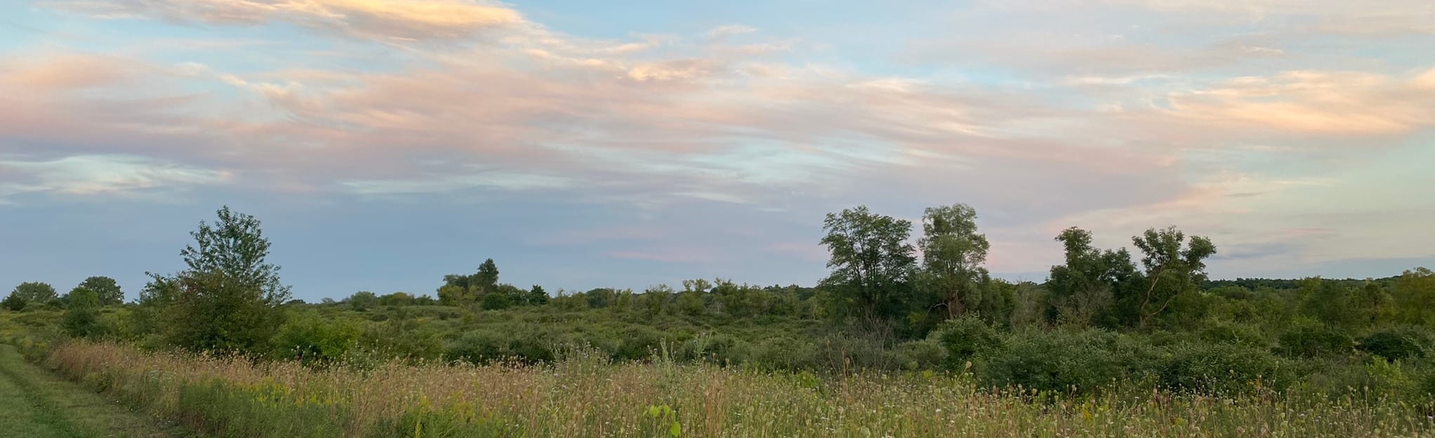 Rock Cut Equestrian Trail, Illinois 59 Reviews, Map AllTrails