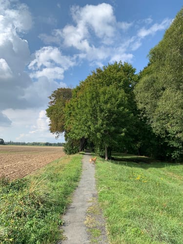 Rund um die Villa Westerberge