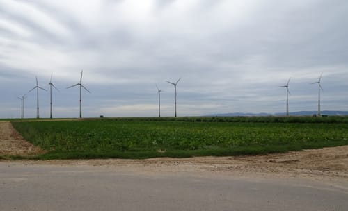 Zwischen Worms und Frankenthal