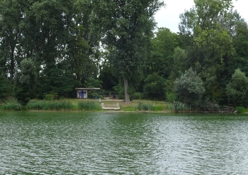 Zwischen Worms und Frankenthal