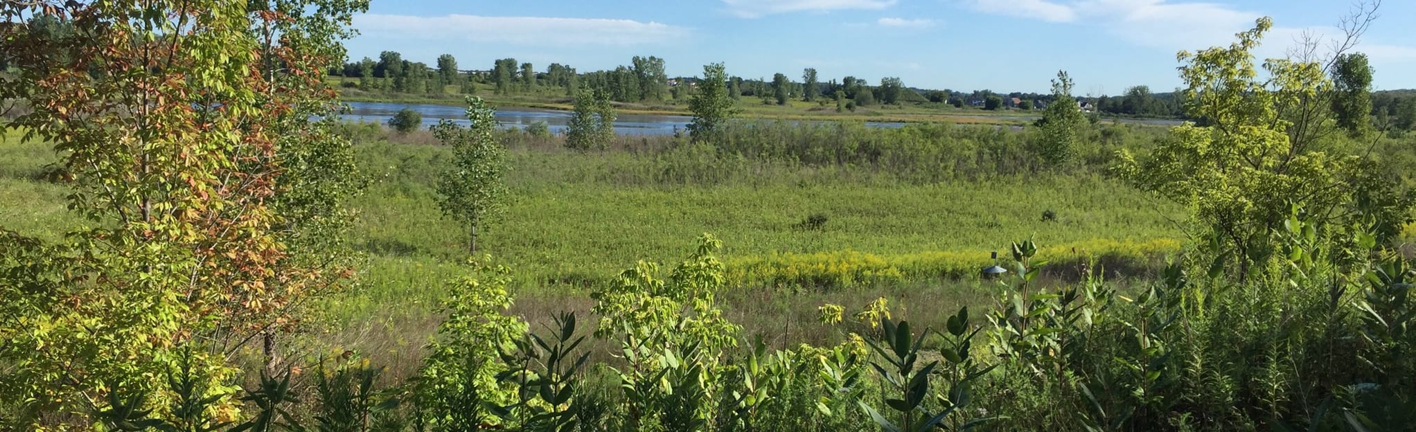 The Ponds at Komoka Provincial Park 35 Zdjęcia Ontario, Kanada