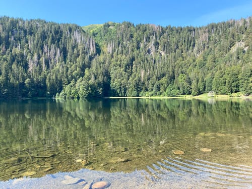 Caritashaus-Feldsee-Rundweg