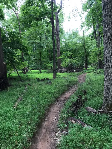 Allaire state park bike 2024 trail