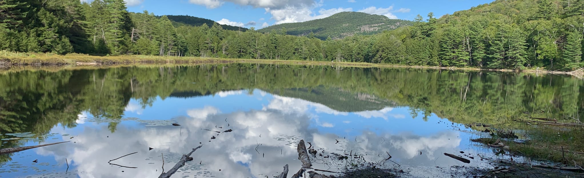 Spectacle Pond Trail, New York 261 Reviews, Map AllTrails