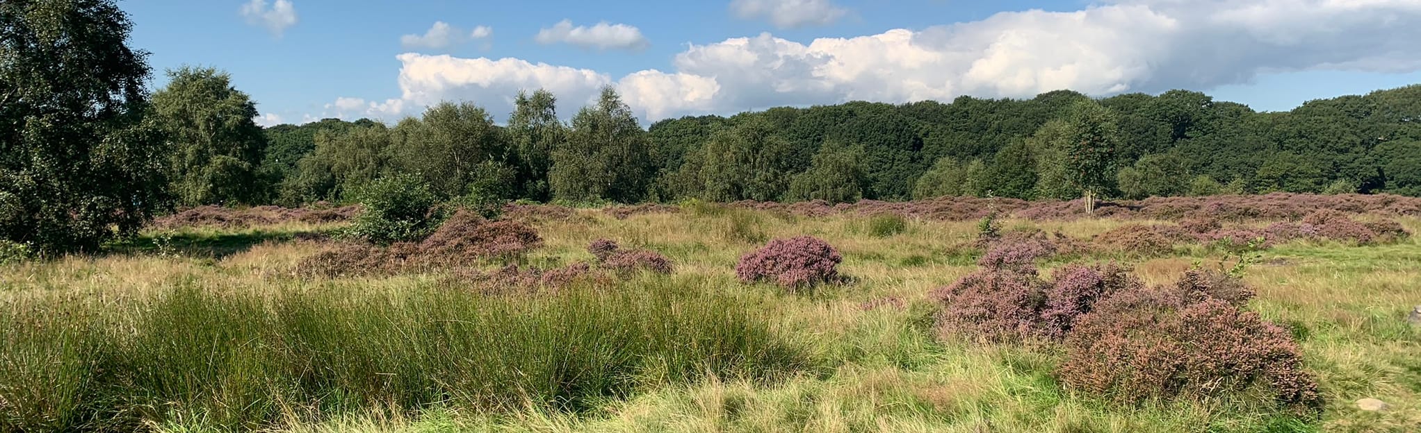 Baildon Moor and Shipley Glen Circular 274 Fotos West Yorkshire
