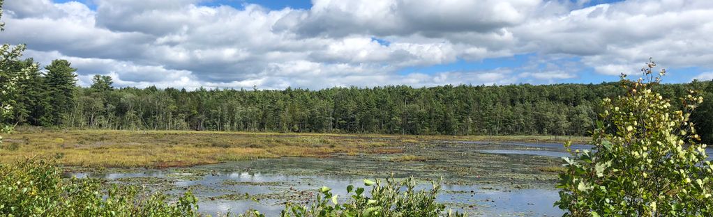 Monadnock Rail Trail NH