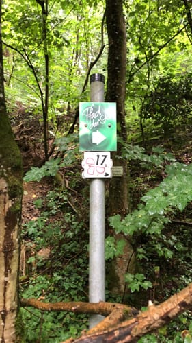 Dörzbach Pfad der Stille