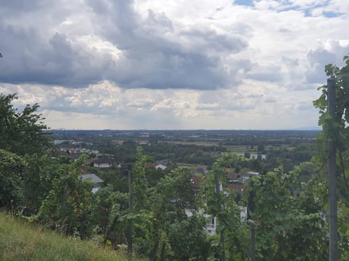 Zwingenberg: Schloss Auerbach und Melibokus