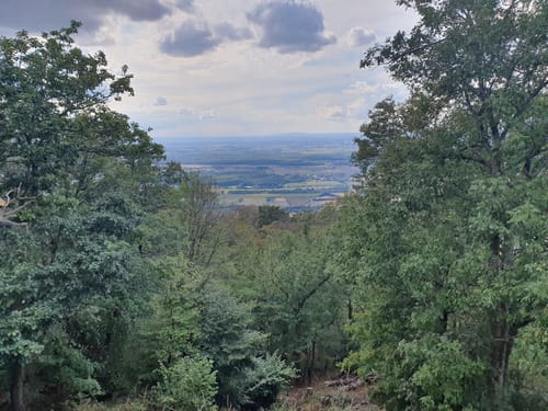 Von Zwingenberg zum Melibokus