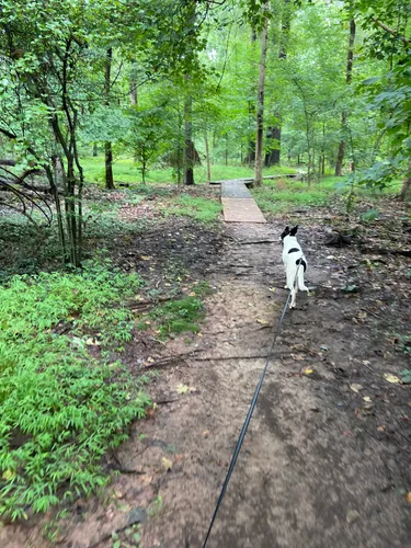 Best Hikes and Trails in Beaver Marsh Nature Preserve | AllTrails