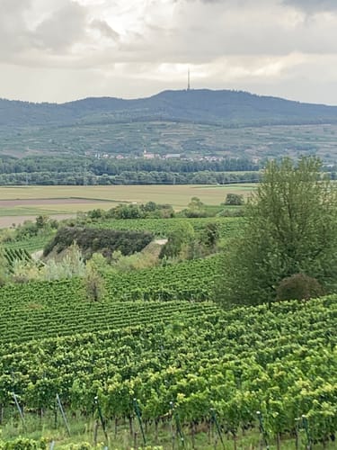 Tuniberg-Höhenweg