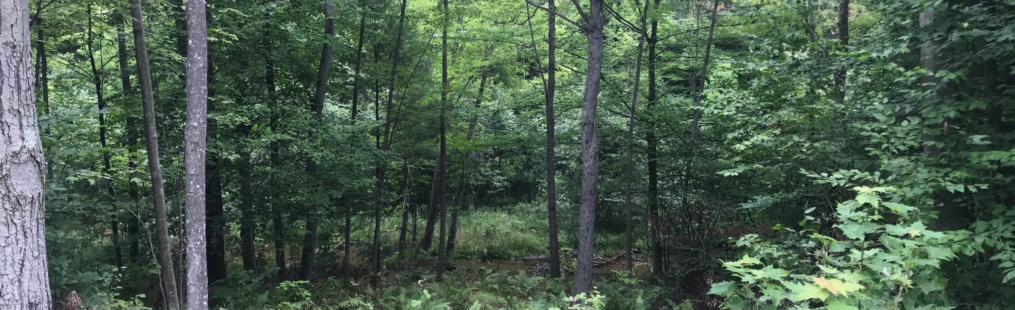 Fred Meijer Berry Junction Trail 129 Reviews, Map Michigan AllTrails