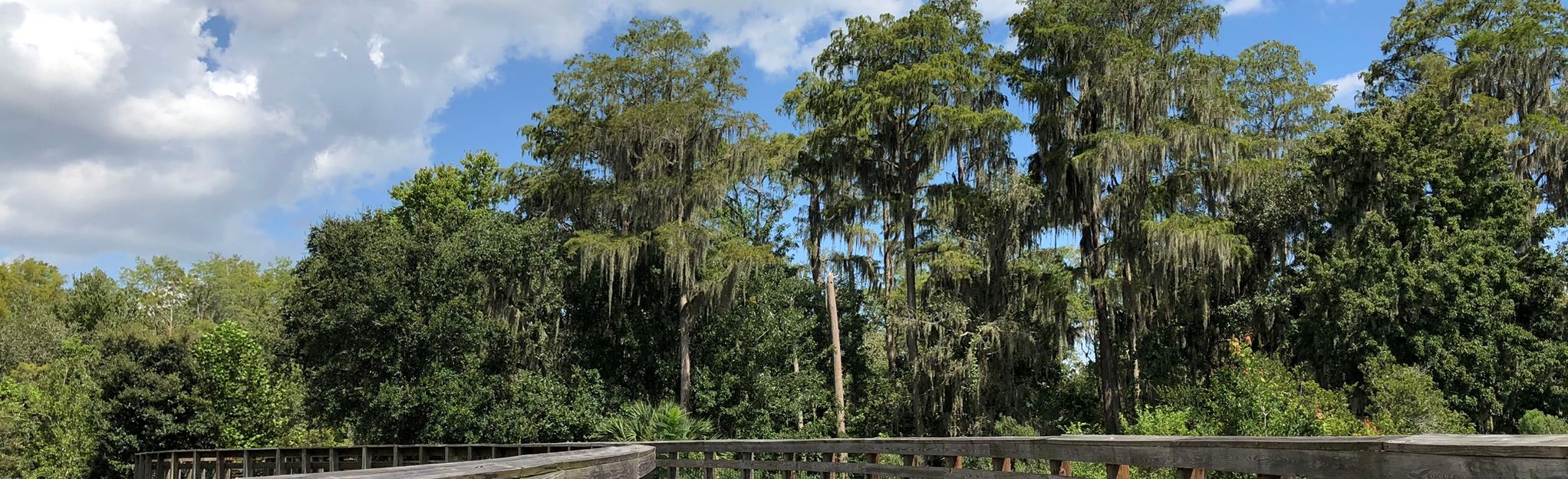 Shingle Creek and Pioneer Village Trail: 406 fotos - Florida | AllTrails