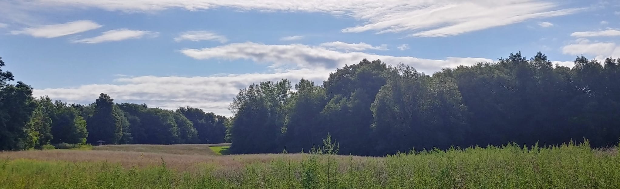 Dryer Road Park Trail 54 Fotos New York AllTrails