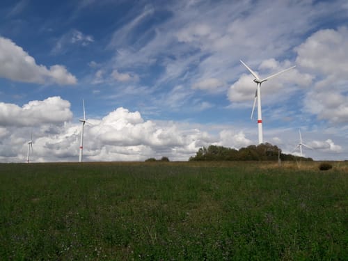 Schluchtenpfad (Traumschleife)