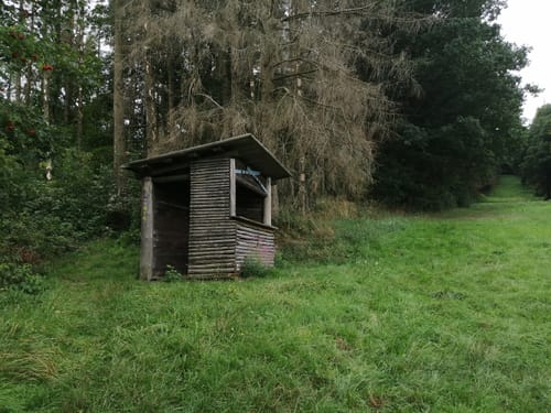 Hessenturm Niedenstein