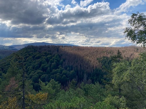 Froschfelsen, Westerberg und Meineberg