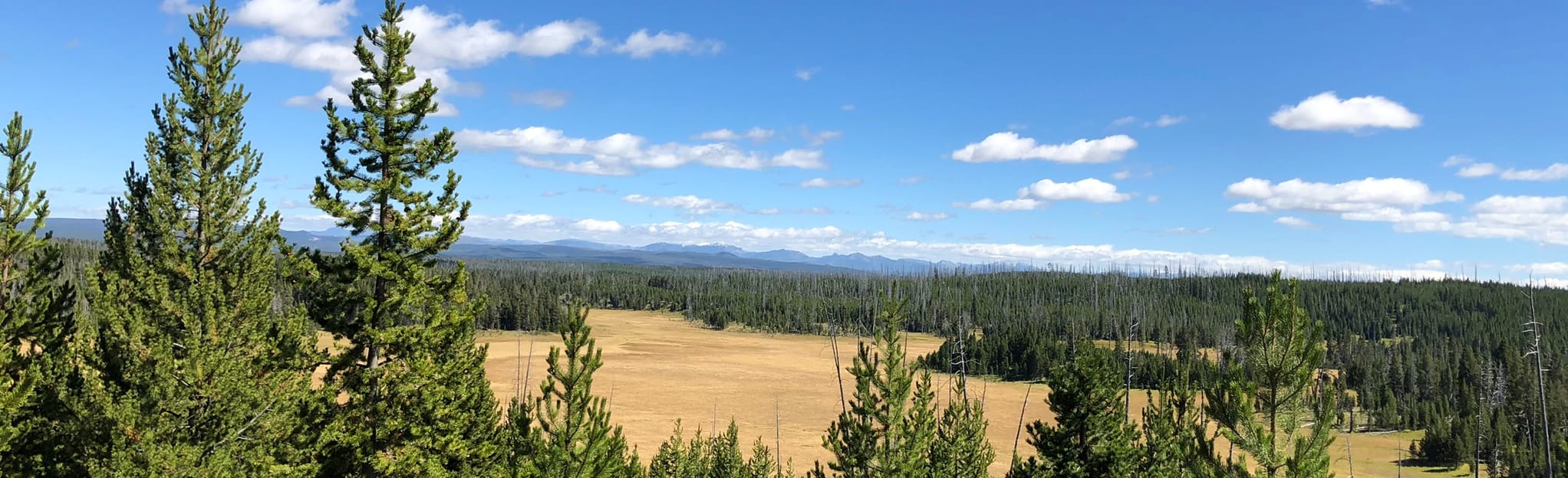 Lakes Trail 18 Reviews, Map Montana AllTrails