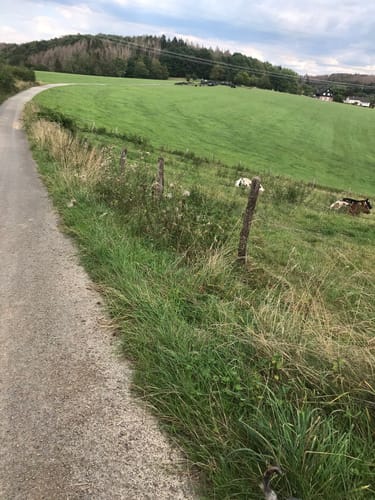 Von Wulfringhausen auf Direktem Wege nach Oberholzen