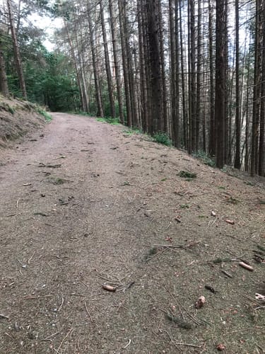 Von Wulfringhausen auf Direktem Wege nach Oberholzen