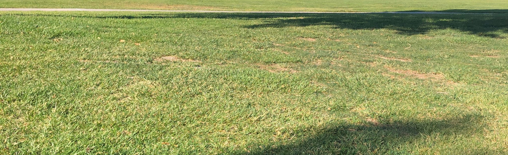 Desert Bloom Park Walk, 1 Fotos Nevada AllTrails