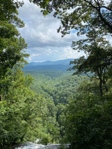 are dogs allowed at amicalola falls