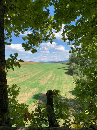 Starzeltal