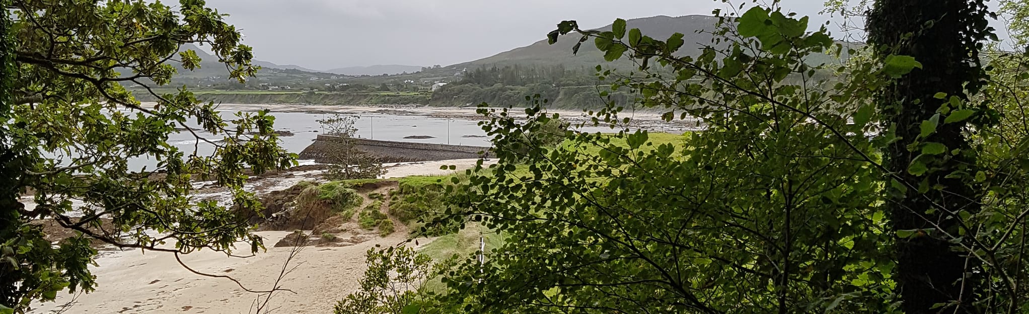 Old Head Forest Loop, County Mayo, Ireland 6 Reviews, Map AllTrails