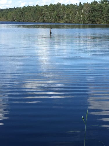Schönramer Moor