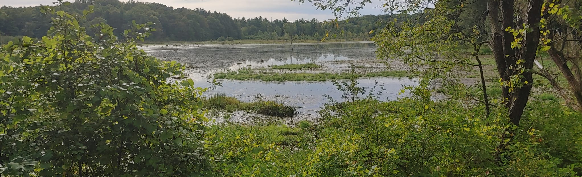 AllTrails Beaver Meadow Nature Center 297 Reviews, Map New York