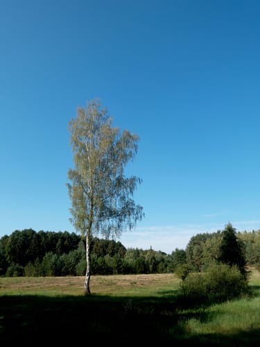 Gohlitzsee und Emstaler Schlauch Rundweg
