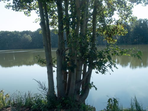 Gohlitzsee und Emstaler Schlauch Rundweg