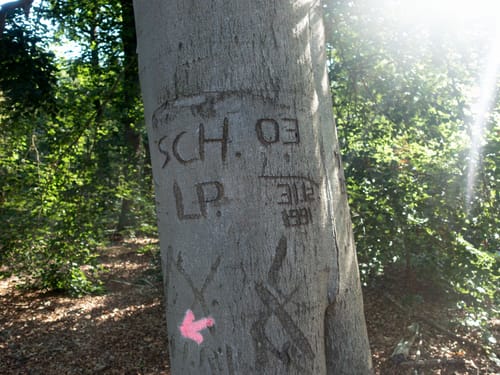 Gohlitzsee und Emstaler Schlauch Rundweg