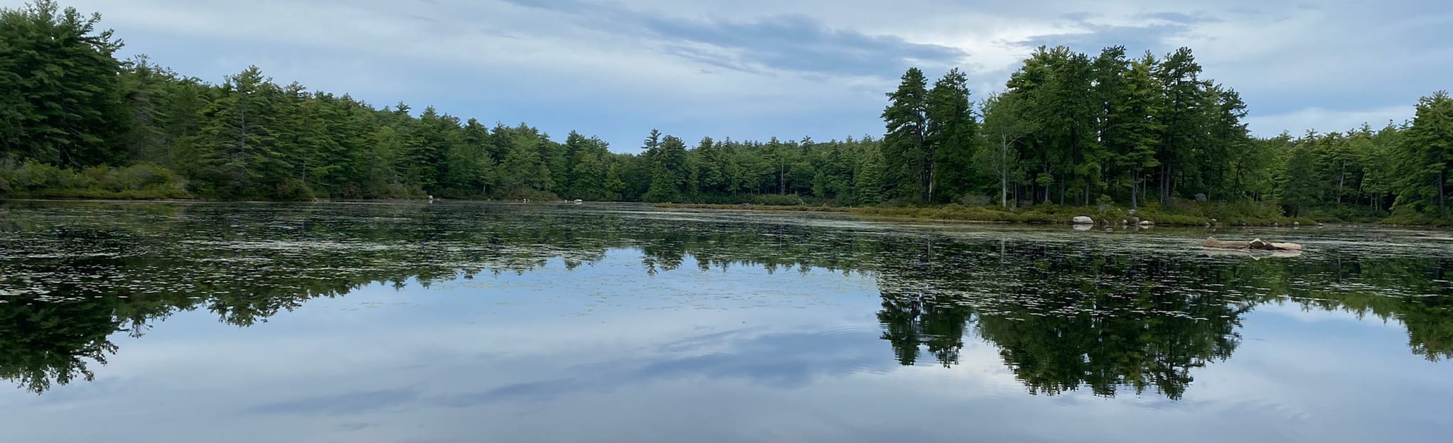 Pratt Pond Loop 229 Reviews, Map New Hampshire AllTrails