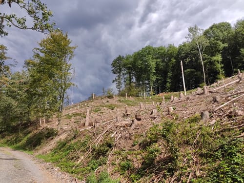 Kaltbachtal ab Wilberhofen