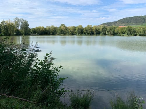 Iphöfer Kronsberg und Kalb