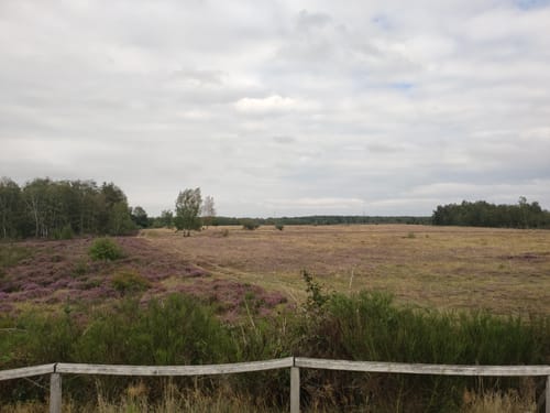 Von Drove durch die Heide nach Stockheim