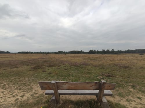 Drover Heide ab Kreuzau