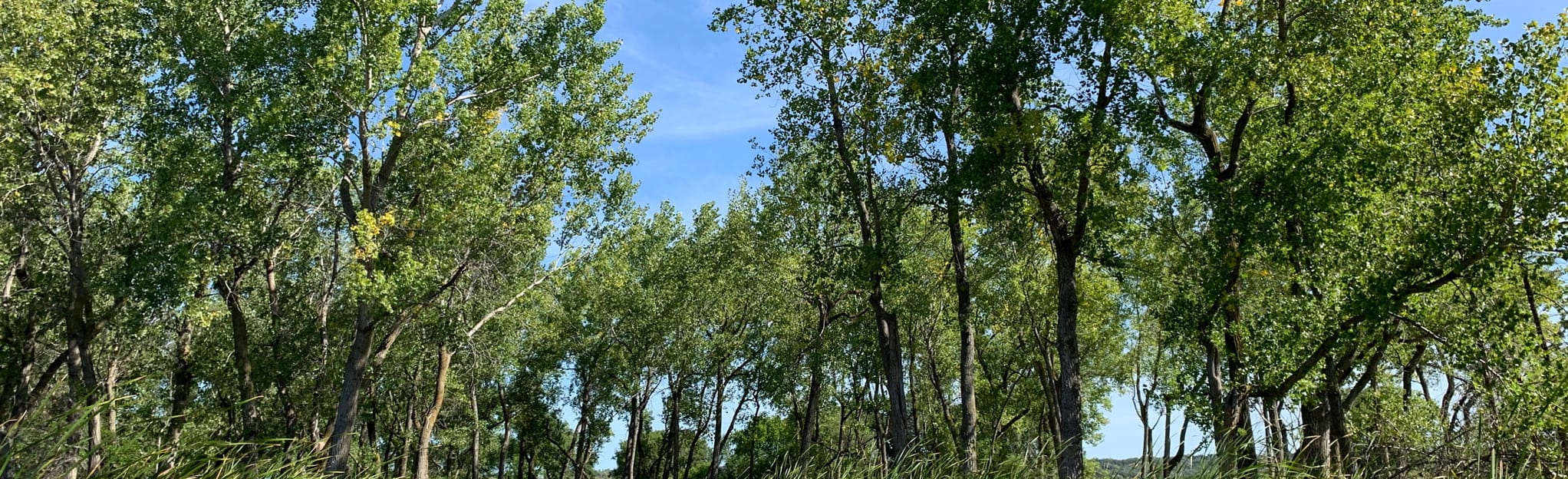 Lake Yankton Island Trail 18 Reviews, Map South Dakota AllTrails