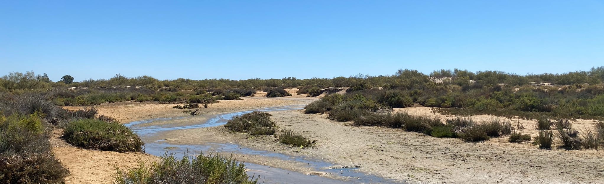 Manta Rota - Cacela Velha: 6 Reviews, Map - Faro, Portugal | AllTrails