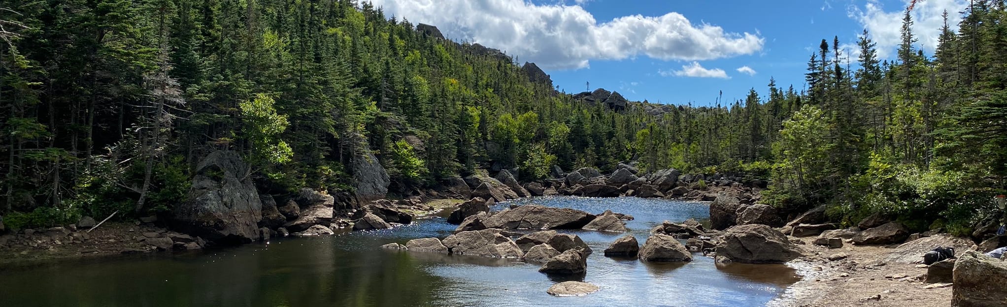 Carter Dome Trail: 100 Reviews, Map - New Hampshire  AllTrails